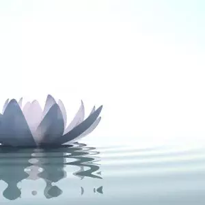 Marriage Therapist Denver CO
